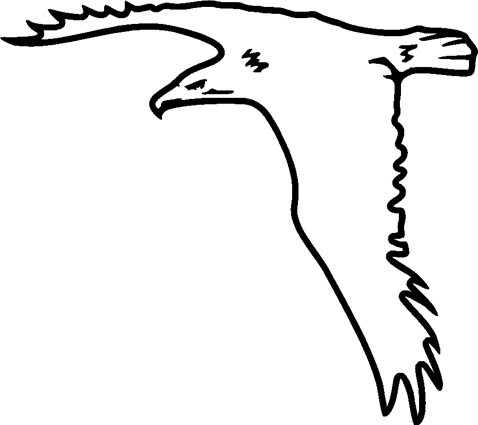 eagle39