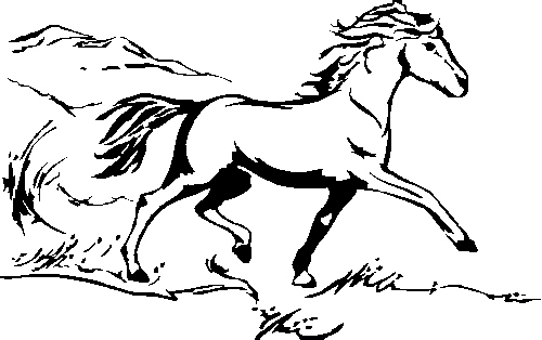 horse-running