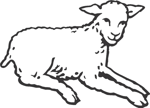 lamb13