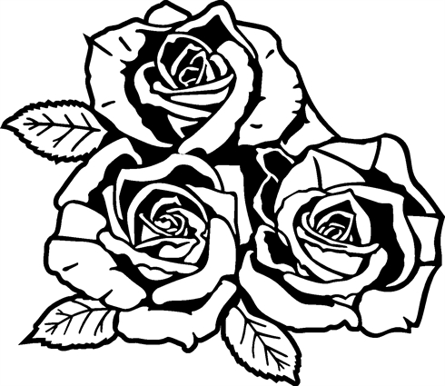 3-roses04