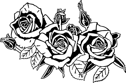 3-roses08
