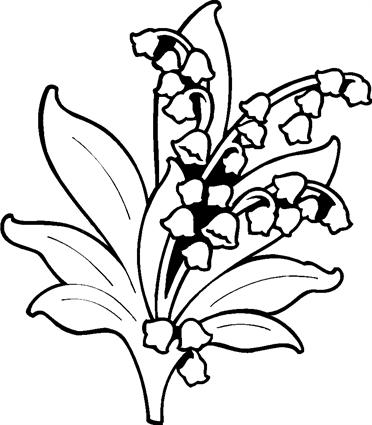 lily-of-the-valley03