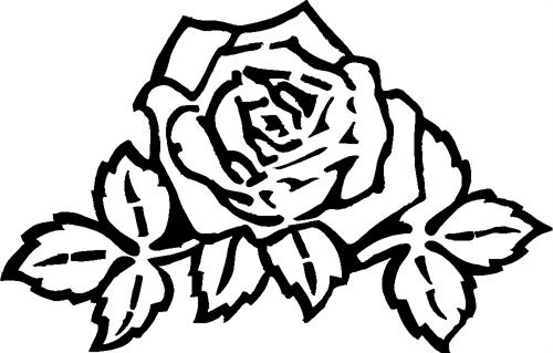 rose136