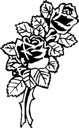 roses148
