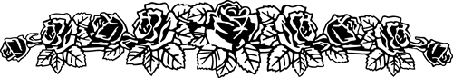 roses230