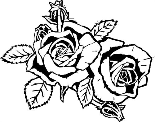 roses96