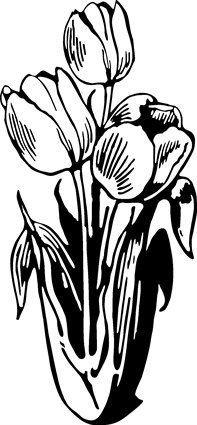 tulips01