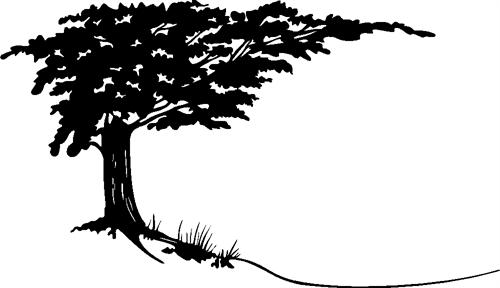 cypress-tree