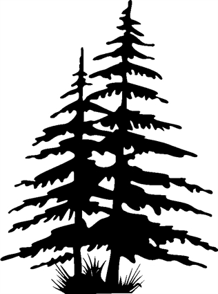 pine-trees-001