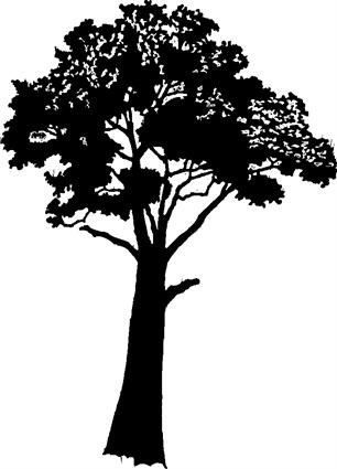 tree34