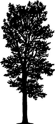 tree38