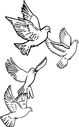 4-doves-in-flight-001