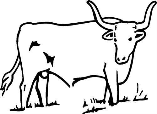 bull05-longhorn