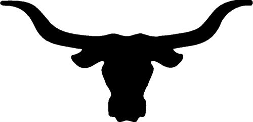 bull07-longhorn