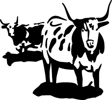 bulls02