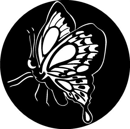 butterfly01
