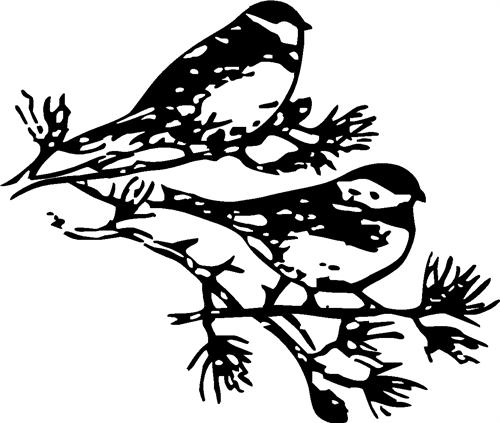 chickadees-on-branch02