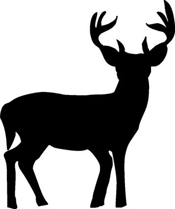 deer18