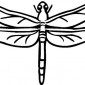 dragonfly02