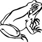 frog-on-lily-pad01mod