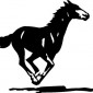 horse-galloping