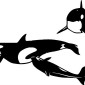 orcas02