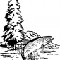 salmon-with-tree-and-mountain