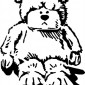 teddy-bear39