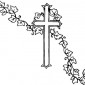 cross-with-ivy09