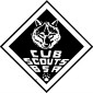 cubscouts-of-america01
