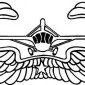 united-states-glider-infantry