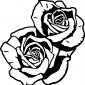 2-roses01