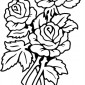 3-roses07