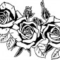 3-roses08