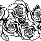 7-roses