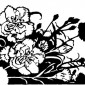 carnations05