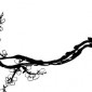cherry-blossom-branch