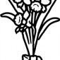 daffodils13