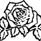 rose136