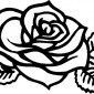 rose244