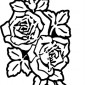 roses174