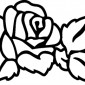 roses216