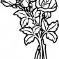 roses26