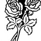 roses35
