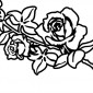 roses88
