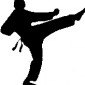 1002-karate