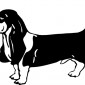 basset-hound02