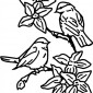 birds-flowers01