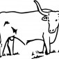 bull05-longhorn