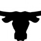 bull07-longhorn